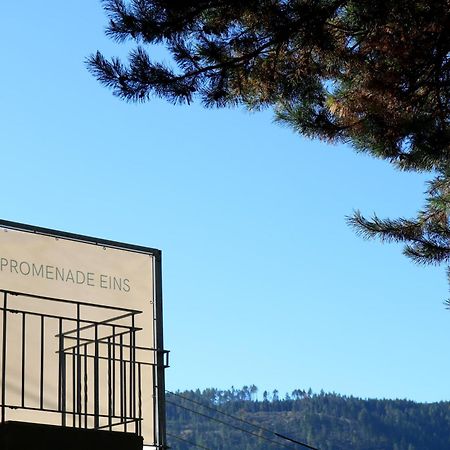 Top Five See & Bergblick - Haus Seepromenade Добриах Экстерьер фото